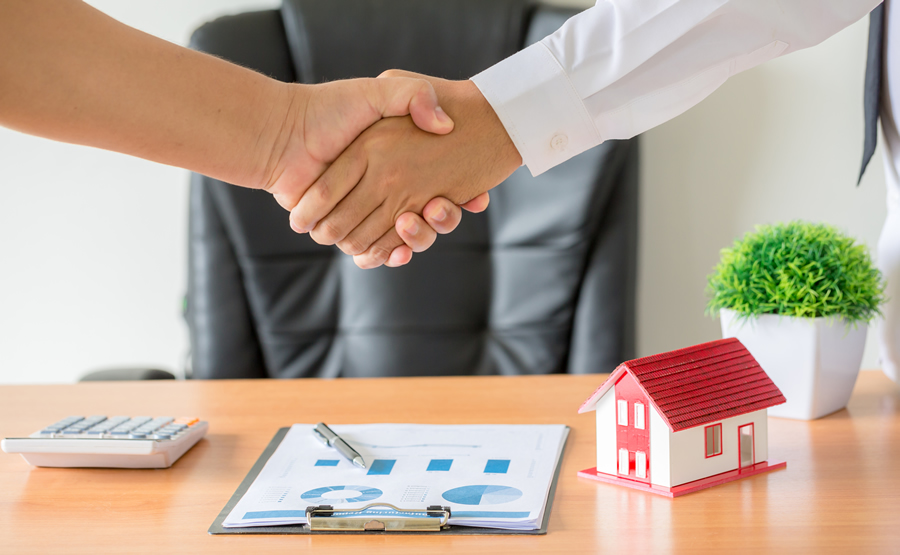 Консультации по недвижимости 